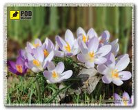 Podmyshku
Килимок для миші Весна-Шафран